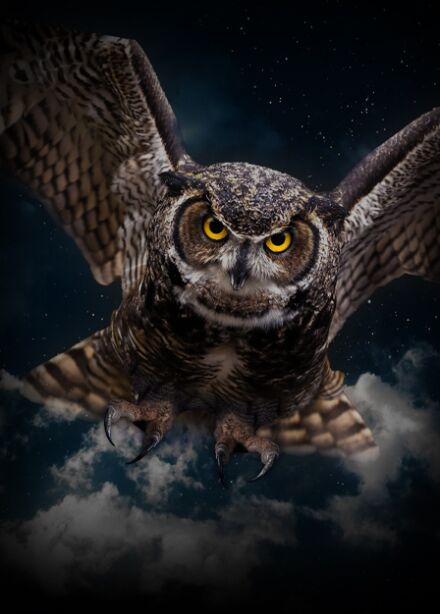 Концерт "Magic Music of Harry Potter"