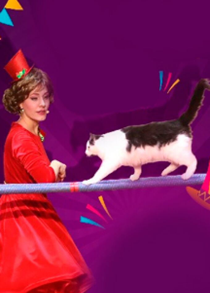 Театр кошек Юрия Куклачева