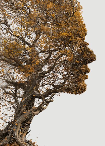 Что я помню?