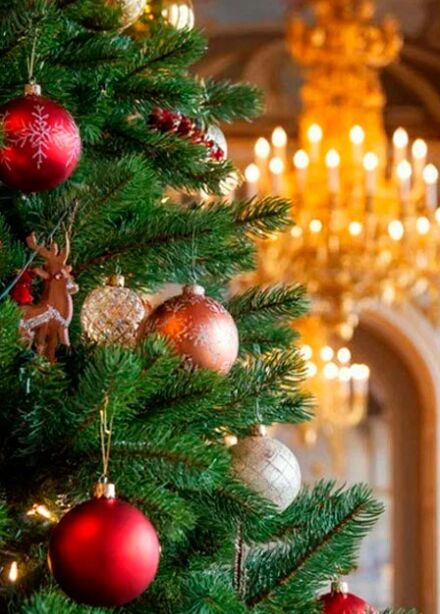 Новогодняя феерия