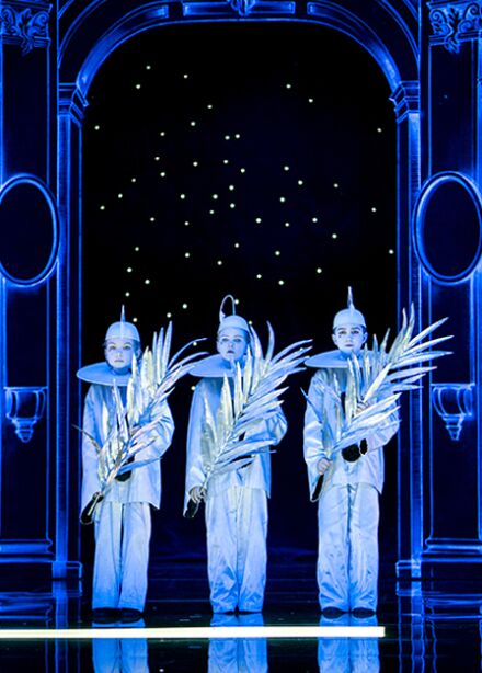 Волшебная флейта (Михайловский театр)