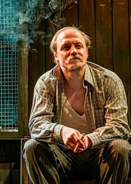 Спектакль "Любовь и голуби".