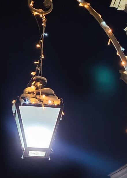 Сказки новогоднего Петербурга