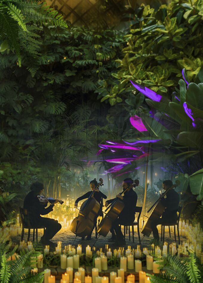 МАГИЯ СВЕЧЕЙ. “От Баха до рок-хитов" в Оранжерее