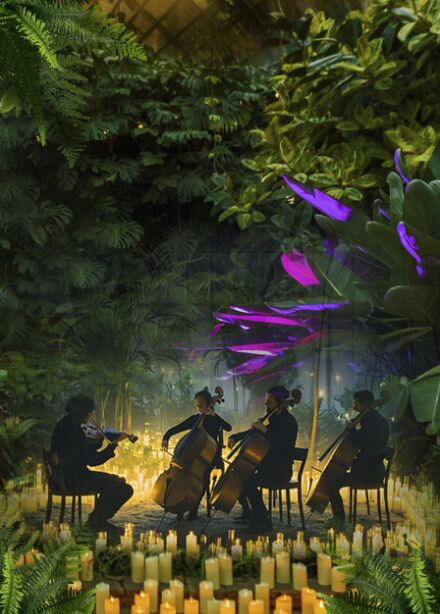 МАГИЯ СВЕЧЕЙ. “От Баха до рок-хитов" в Оранжерее