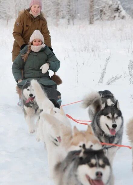 Новогодняя Карелия за 1 день: Рускеала, хаски, водопады