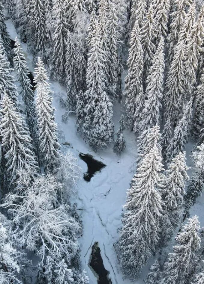 Снежная Карелия за 1 день: долина водопадов, древние крепости и животные севера