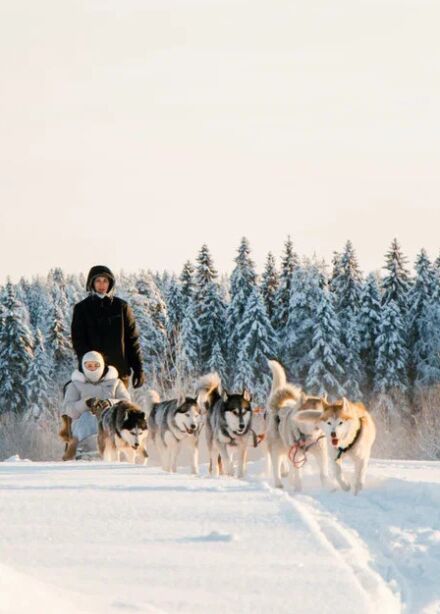Тур на 1 день «Визит к Деду Морозу Джухани и величественная Рускеала»