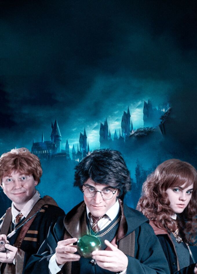 Гарри Поттер и Новогодняя тайна Хогвартса