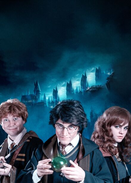 Гарри Поттер и Новогодняя тайна Хогвартса