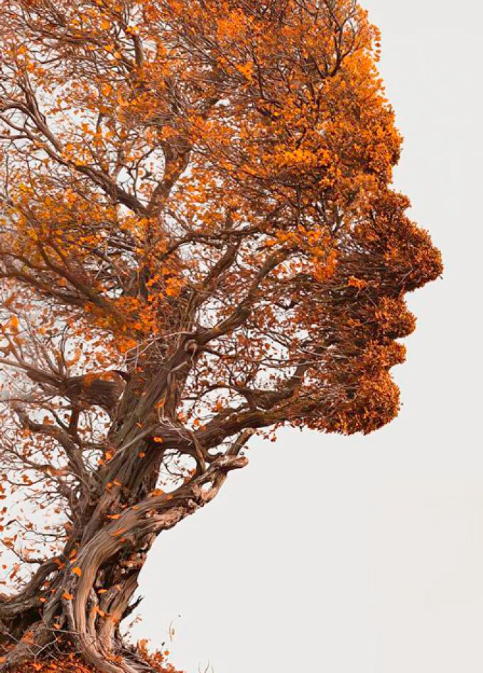 ЧТО Я ПОМНЮ?