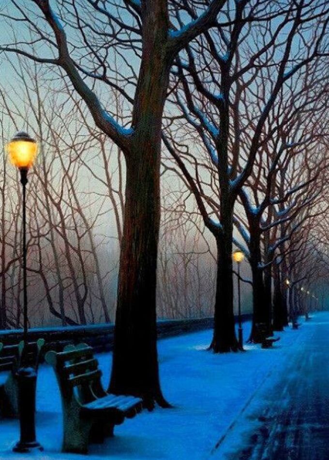 Сумерки в начале января...